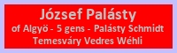 Palsty-5