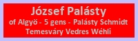 Palsty-5