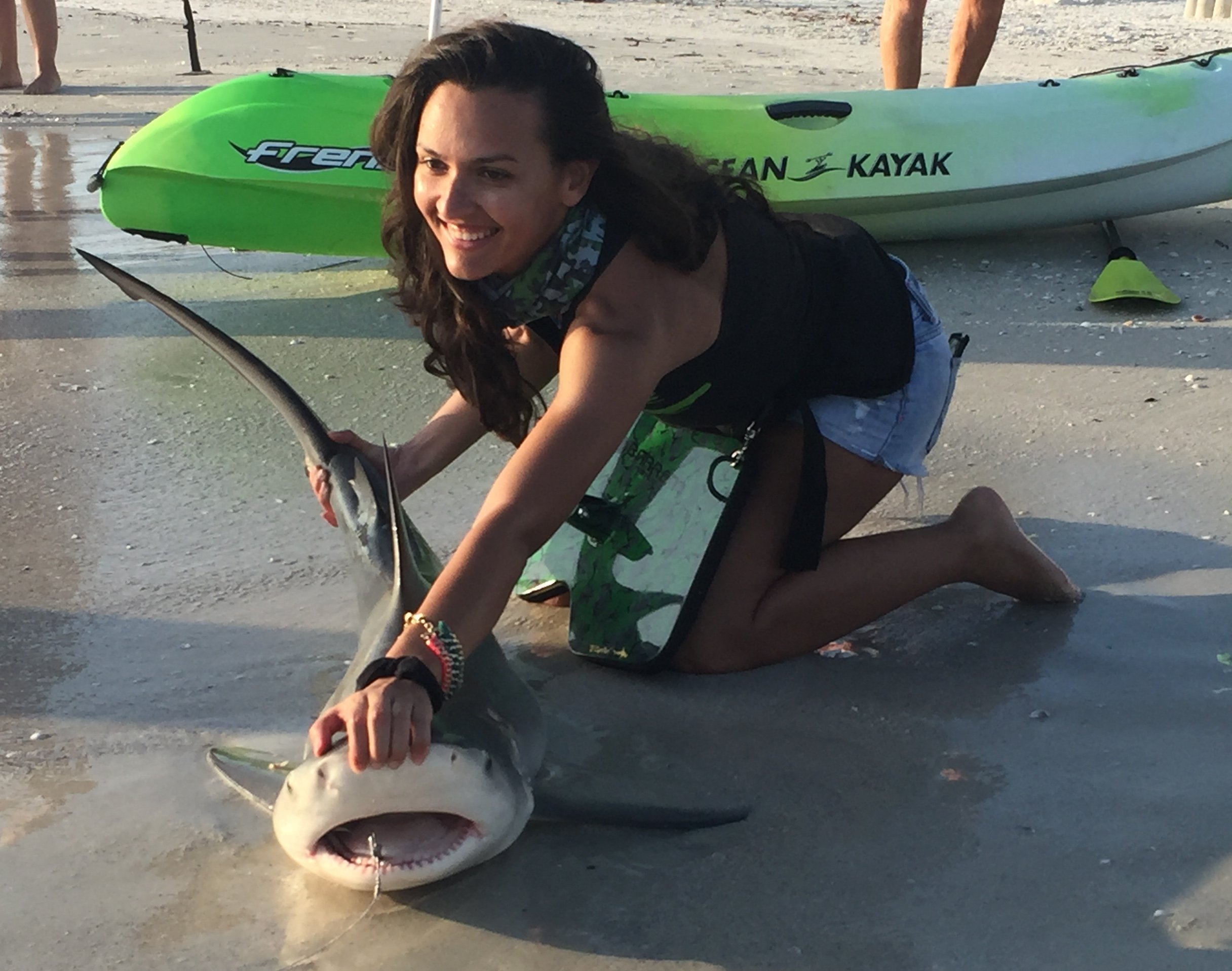 Shark Fishing