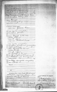 Preview of 1895 Civil Birth Record.