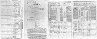 Preview of 1869 Census Record.