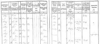 Preview of 1867 Army Muster Roll.
