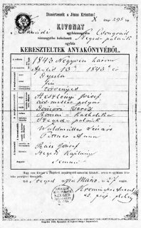 Preview of Birth Record Transcription.